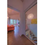 Ferienhaus Xxl Familienferienhaus *