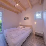 Ferienhaus Xxl Familienferienhaus